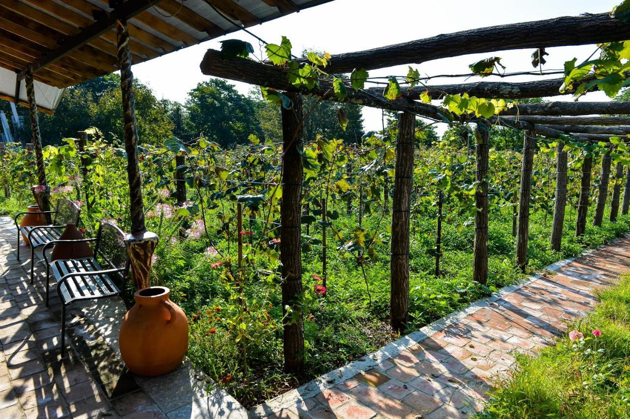 Chateau Chikovani Hotell Gordi Exteriör bild
