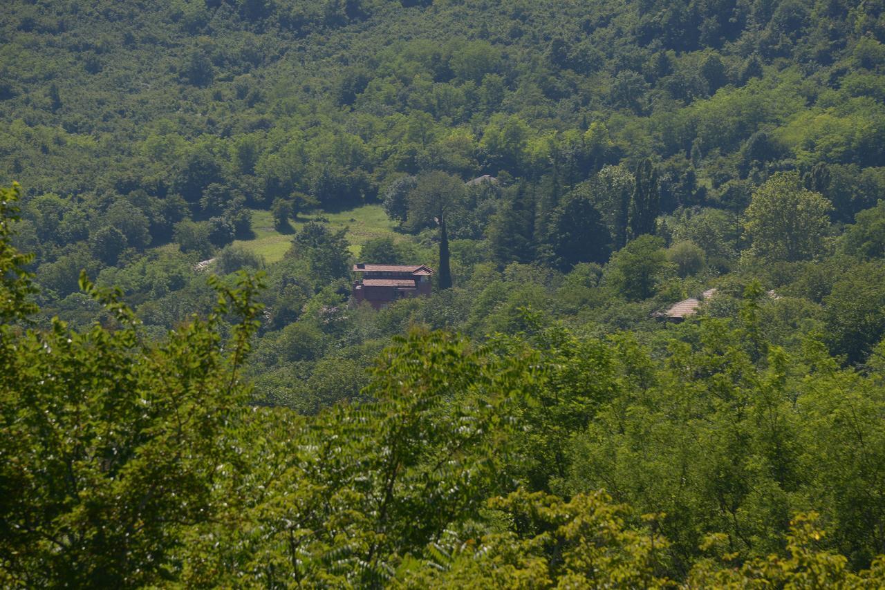 Chateau Chikovani Hotell Gordi Exteriör bild